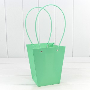 Пакет подарочный           