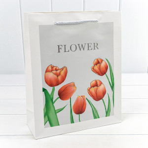 Пакет подарочный       