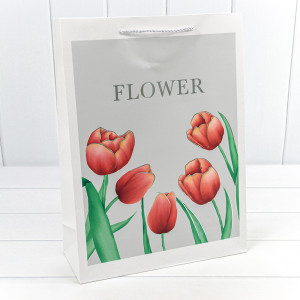 Пакет подарочный         