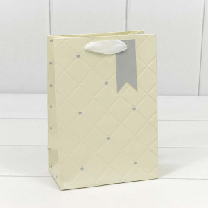 Пакет подарочный