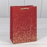 Пакет подарочный Пакет подарочный