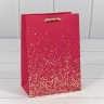 Пакет подарочный Пакет подарочный
