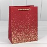 Пакет подарочный Пакет подарочный