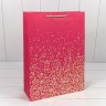 Пакет подарочный Пакет подарочный