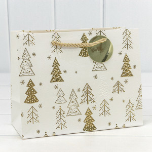 Пакет подарочный