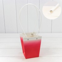 Пакет подарочный    