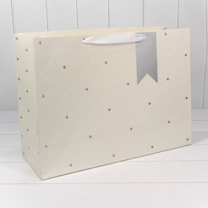 Пакет подарочный