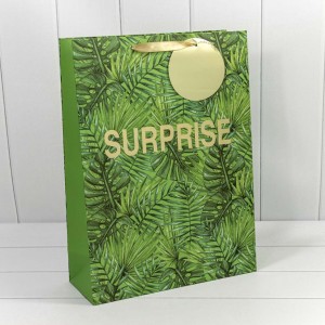 Пакет подарочный