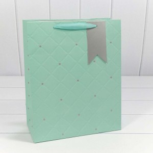 Пакет подарочный