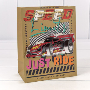 Пакет подарочный  