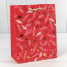 Пакет подарочный Пакет подарочный