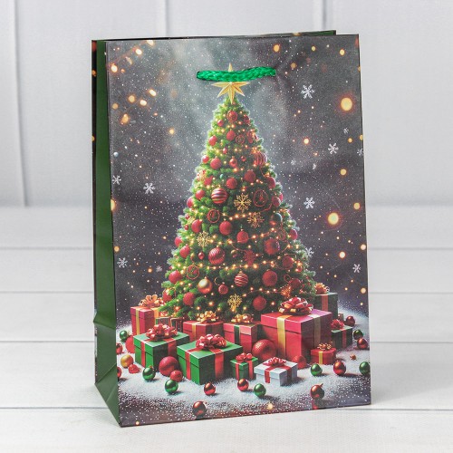 Пакет подарочный