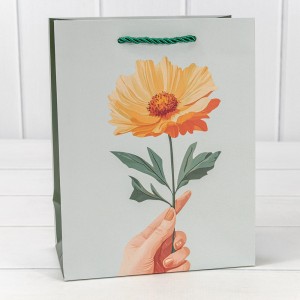 Пакет подарочный    