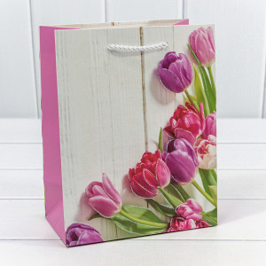 Пакет подарочный  