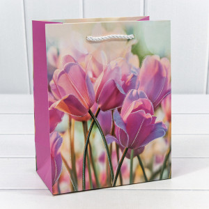 Пакет подарочный  