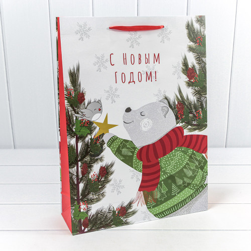 Пакет подарочный