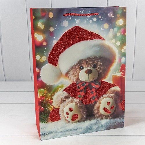 Пакет подарочный    