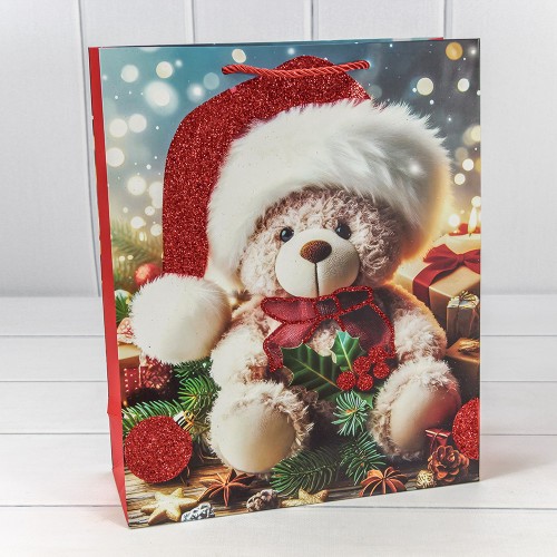 Пакет подарочный