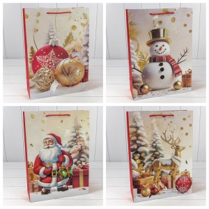 Пакет подарочный    