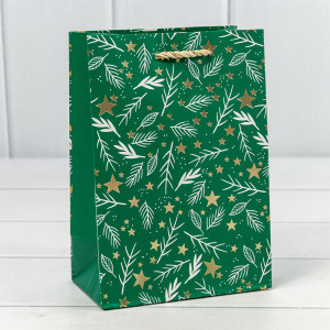 Пакет подарочный  