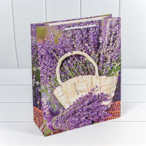 Пакет подарочный    