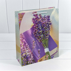 Пакет подарочный    