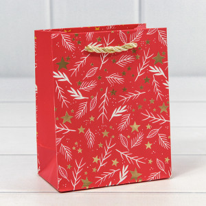 Пакет подарочный 