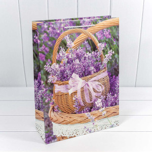 Пакет подарочный      