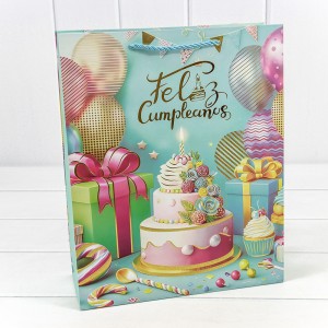 Пакет подарочный