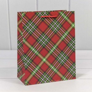 Пакет подарочный