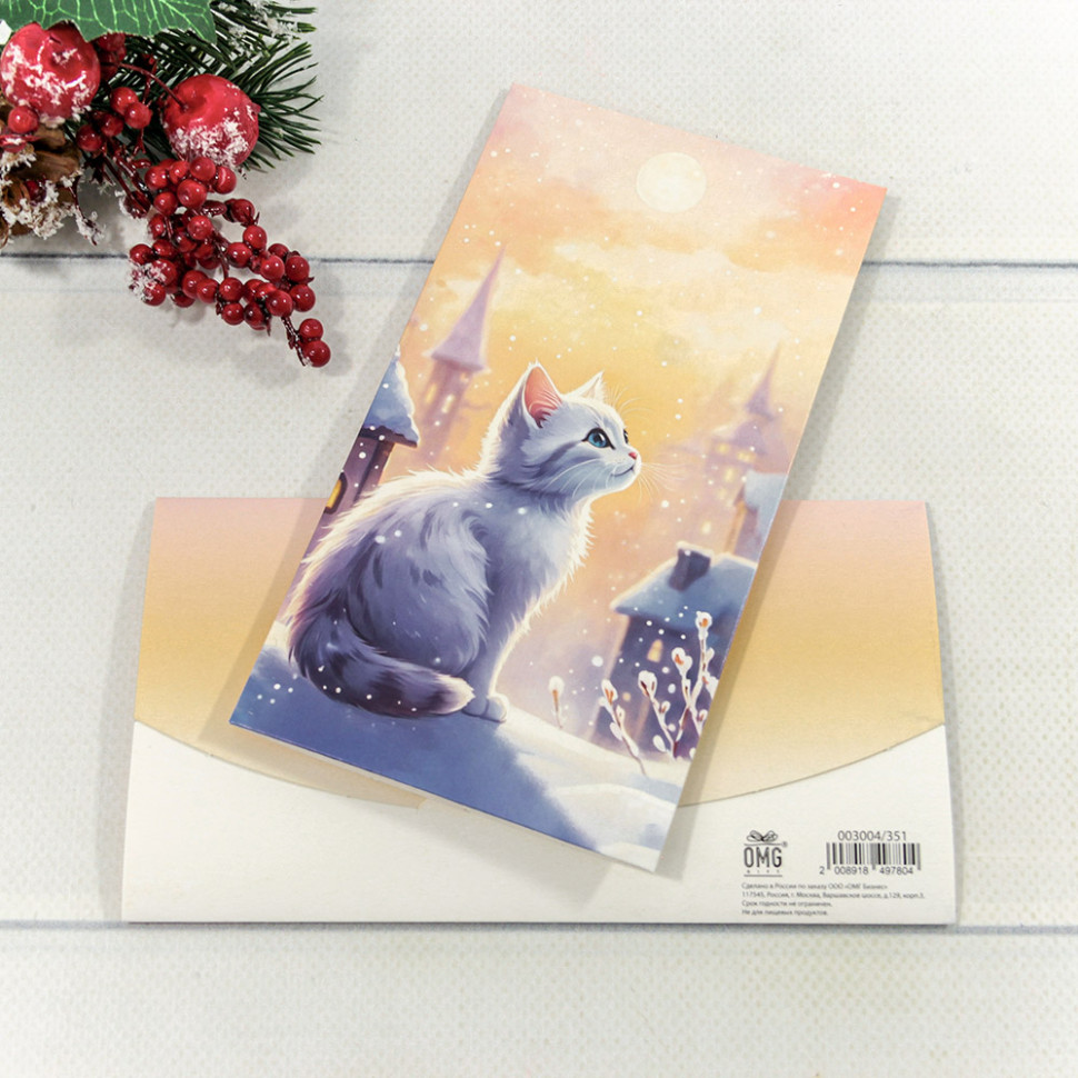 Конверт подарочный Конверт подарочный