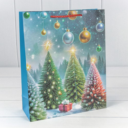 Пакет подарочный