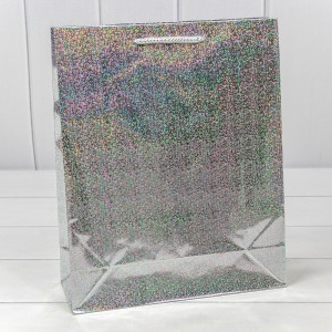 Пакет подарочный