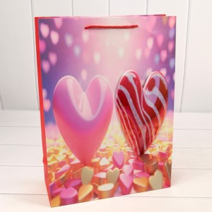 Пакет подарочный